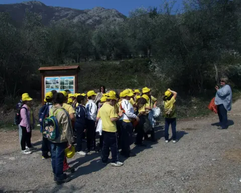 ATTIVITA' DIDATTICA – foto 7