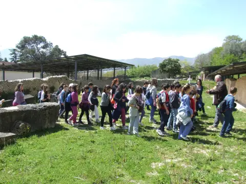 ATTIVITA' DIDATTICA – foto 8