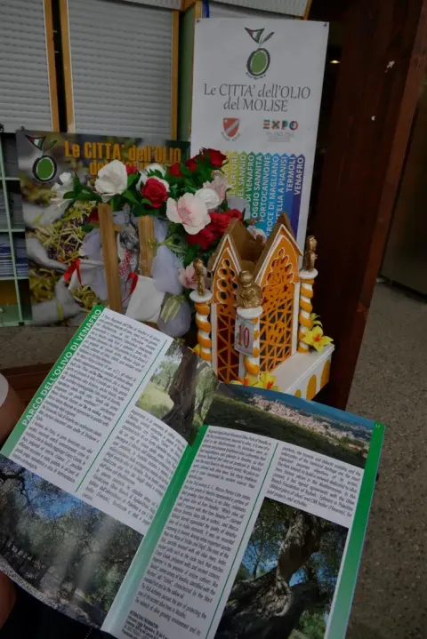 Expo – foto 17