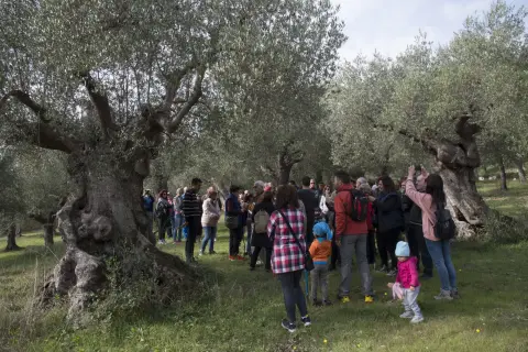 Punto2 – foto 1