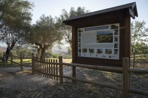 Punto2 – foto 4