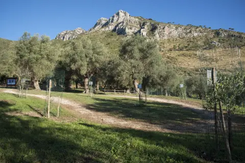 Punto2 – foto 3