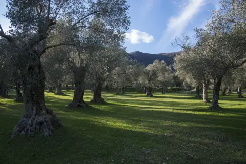 Punto2 – foto 7