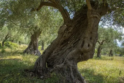 Punto2 – foto 11