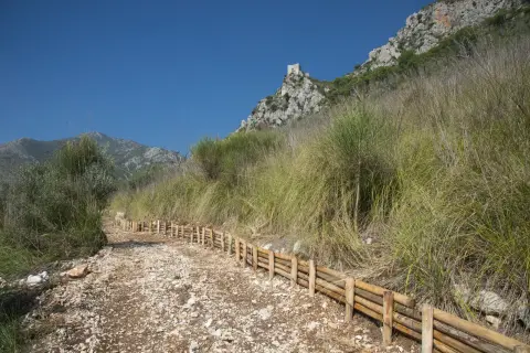 Punto5 – foto 8