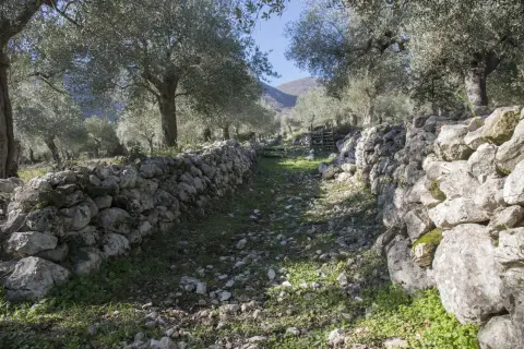Punto8 – foto 1