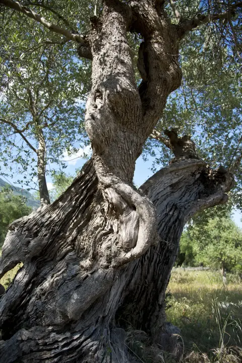 Punto8 – foto 6