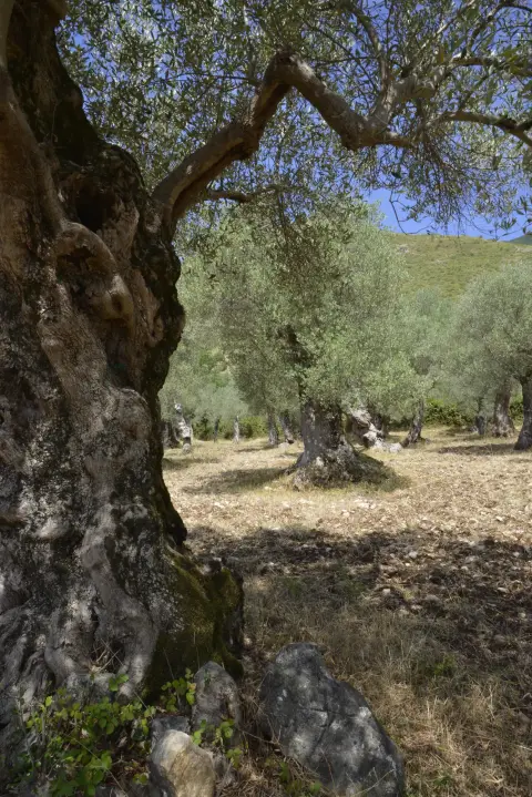 Punto9 – foto 11