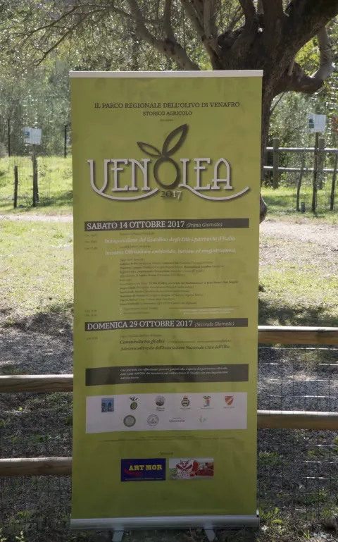 Venolea2017 – foto 7